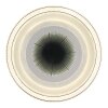 Illuminazione Globo Lighting Alsuna Plafoniera LED Bianco, 1-Luce, Telecomando