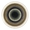 Illuminazione Globo Lighting Alsuna Plafoniera LED Antracite, 1-Luce, Telecomando
