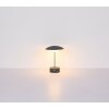 Illuminazione Globo Lighting Tomo Lampada da tavolo LED Verde, 1-Luce
