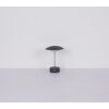 Illuminazione Globo Lighting Tomo Lampada da tavolo LED Verde, 1-Luce
