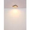 Illuminazione Globo Lighting Hayden Plafoniera LED Écru, Nero, 1-Luce