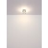 Illuminazione Globo Lighting Melisand Plafoniera LED Champagne, 1-Luce
