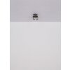 Illuminazione Globo Lighting Melisand Plafoniera LED Champagne, 1-Luce