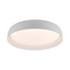 Illuminazione Leuchten Direkt OSKO Plafoniera LED Bianco, 1-Luce, Telecomando