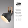 Illuminazione Leuchten Direkt 2.0 Lampada a sospensione LED Marrone, Nero, 1-Luce
