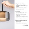 Illuminazione Paul Neuhaus Rika Lampada a sospensione LED Nero, 1-Luce