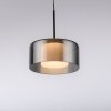 Illuminazione Paul Neuhaus Rika Lampada a sospensione LED Nero, 1-Luce