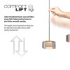Illuminazione Paul Neuhaus Rika Lampada a sospensione LED Nero, 3-Luci