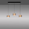 Illuminazione Paul Neuhaus Rika Lampada a sospensione LED Nero, 3-Luci