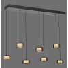 Illuminazione Paul Neuhaus Rika Lampada a sospensione LED Nero, 7-Luci