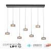 Illuminazione Paul Neuhaus Rika Lampada a sospensione LED Nero, 7-Luci
