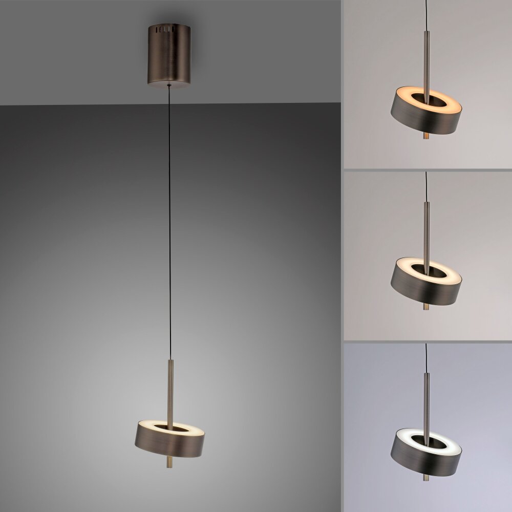Illuminazione Paul Neuhaus Q-Rotate Lampada a sospensione LED Marrone, 1-Luce, Telecomando