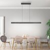 Illuminazione Paul Neuhaus Round Lampada a sospensione LED Nero, 2-Luci
