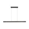 Illuminazione Paul Neuhaus Round Lampada a sospensione LED Nero, 2-Luci