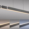 Illuminazione Paul Neuhaus Round Lampada a sospensione LED Nero, 2-Luci