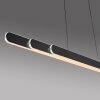 Illuminazione Paul Neuhaus Round Lampada a sospensione LED Nero, 2-Luci