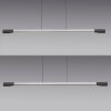 Illuminazione Paul Neuhaus Hoop Lampada a sospensione LED Antracite, Argento, 1-Luce