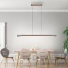 Illuminazione Paul Neuhaus Hoop Lampada a sospensione LED Marrone, Argento, 1-Luce