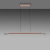 Illuminazione Paul Neuhaus Hoop Lampada a sospensione LED Marrone, Argento, 1-Luce