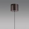Paul Neuhaus Q-Serie Q-Kon Lampada a sospensione LED Marrone, 1-Luce, Telecomando
