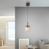 Paul Neuhaus Q-Serie Q-Kon Lampada a sospensione LED Marrone, 1-Luce, Telecomando