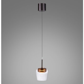 Illuminazione Paul Neuhaus Q-Kon Lampada a sospensione LED Marrone, 1-Luce, Telecomando