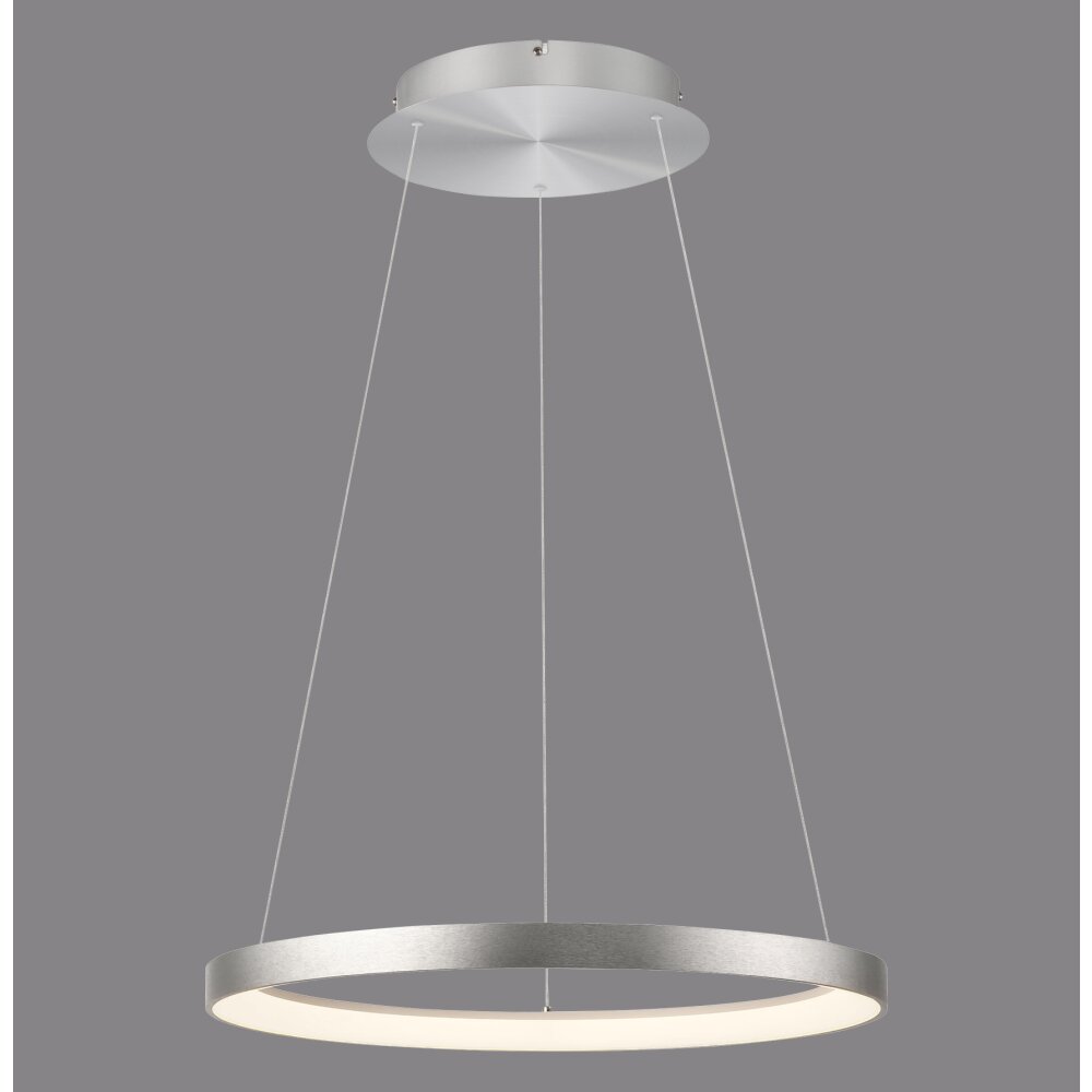 Illuminazione Paul Neuhaus Hoop Lampada a sospensione LED Argento, 1-Luce main product photo