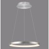 Illuminazione Paul Neuhaus Hoop Lampada a sospensione LED Argento, 1-Luce