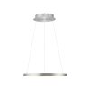 Illuminazione Paul Neuhaus Hoop Lampada a sospensione LED Argento, 1-Luce