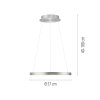 Illuminazione Paul Neuhaus Hoop Lampada a sospensione LED Argento, 1-Luce