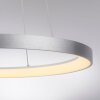 Illuminazione Paul Neuhaus Hoop Lampada a sospensione LED Argento, 1-Luce