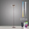 Paul Neuhaus Q-Serie Q-Rotate Lampada da terra LED Marrone, 1-Luce, Telecomando Paul Neuhaus Q-Serie Q-Rotate Lampada da terra LED Marrone, 1-Luce, Telecomando