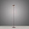 Paul Neuhaus Q-Serie Q-Rotate Lampada da terra LED Marrone, 1-Luce, Telecomando Paul Neuhaus Q-Serie Q-Rotate Lampada da terra LED Marrone, 1-Luce, Telecomando