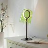 Illuminazione Paul Neuhaus Zula Lampada da tavolo LED Nero, 1-Luce