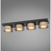 Illuminazione Paul Neuhaus Rika Plafoniera LED Nero, 4-Luci