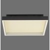 Paul Neuhaus Q-Serie Q-Magong Plafoniera LED Nero, 1-Luce, Telecomando
