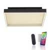 Paul Neuhaus Q-Serie Q-Magong Plafoniera LED Nero, 1-Luce, Telecomando
