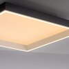 Paul Neuhaus Q-Serie Q-Magong Plafoniera LED Nero, 1-Luce, Telecomando