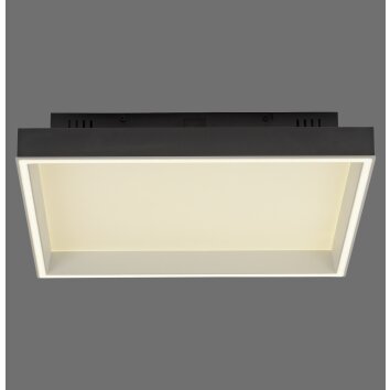 Paul Neuhaus Q-Serie Q-Magong Plafoniera LED Nero, 1-Luce, Telecomando Paul Neuhaus Q-Serie Q-Magong Plafoniera LED Nero, 1-Luce, Telecomando