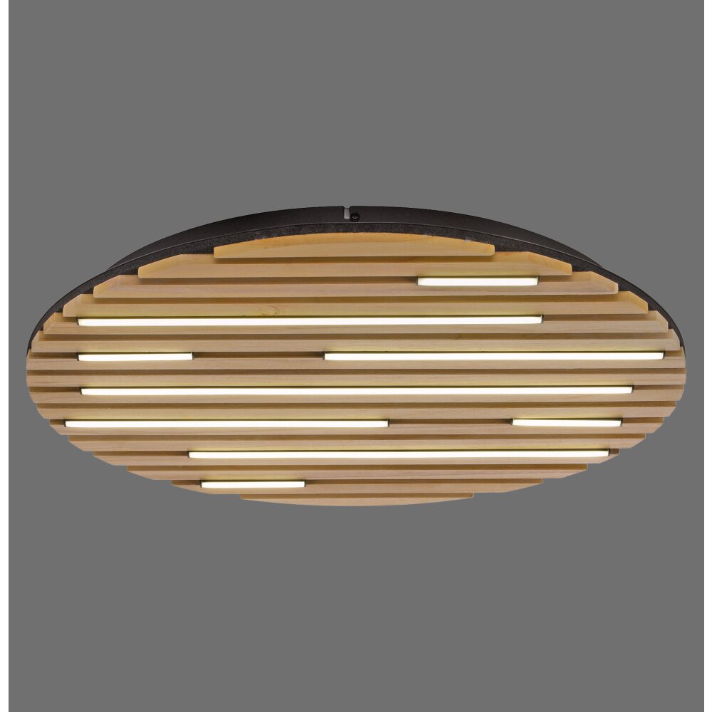 Illuminazione Paul Neuhaus Q-Akustik Applique e plafoniera LED Marrone, Nero, 1-Luce, Telecomando main product photo