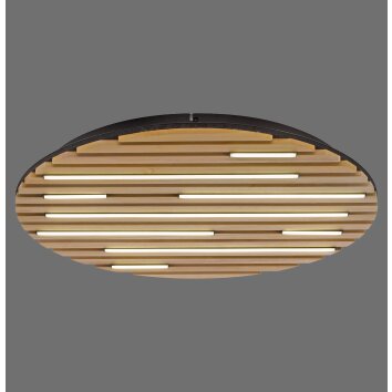 Paul Neuhaus Q-Serie Q-Akustik Applique e plafoniera LED Marrone, Nero, 1-Luce, Telecomando Paul Neuhaus Q-Serie Q-Akustik Applique e plafoniera LED Marrone, Nero, 1-Luce, Telecomando