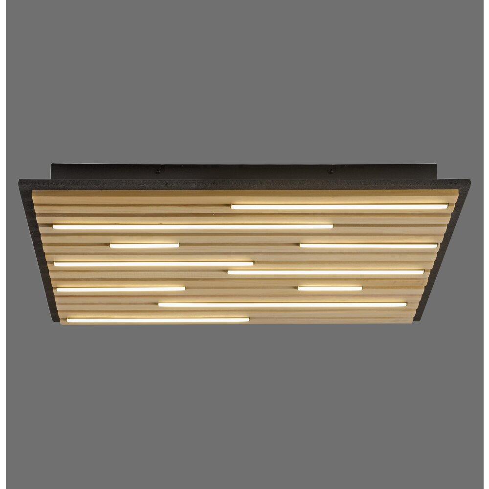 Paul Neuhaus Q-Serie Q-Akustik Applique e plafoniera LED Marrone, Nero, 1-Luce, Telecomando main product photo