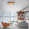 Paul Neuhaus Q-Serie Q-Akustik Applique e plafoniera LED Marrone, Nero, 1-Luce, Telecomando