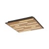 Paul Neuhaus Q-Serie Q-Akustik Applique e plafoniera LED Marrone, Nero, 1-Luce, Telecomando
