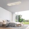 Illuminazione Paul Neuhaus Q-Kalina Plafoniera LED Bianco, 1-Luce, Telecomando