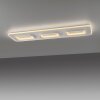 Illuminazione Paul Neuhaus Q-Kalina Plafoniera LED Bianco, 1-Luce, Telecomando