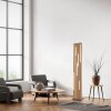 Paul Neuhaus Q-Serie Q-Akustik Lampada da terra LED Marrone, Nero, 1-Luce, Telecomando