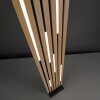Paul Neuhaus Q-Serie Q-Akustik Lampada da terra LED Marrone, Nero, 1-Luce, Telecomando