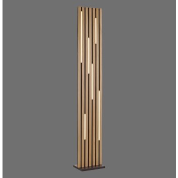 Paul Neuhaus Q-Serie Q-Akustik Lampada da terra LED Marrone, Nero, 1-Luce, Telecomando