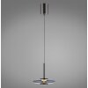 Illuminazione Paul Neuhaus Vitrum Lampada a sospensione LED Grigio, 2-Luci